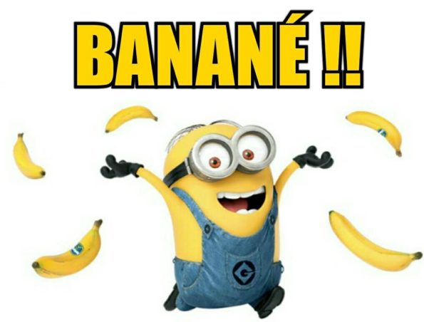 un minions jette des banannes en criant : «Banané!» logique
